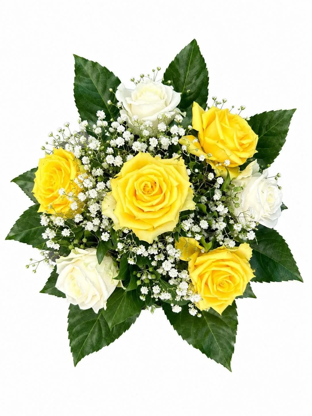 Rosen gelb-weiß